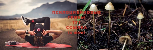 альфа пвп Нязепетровск