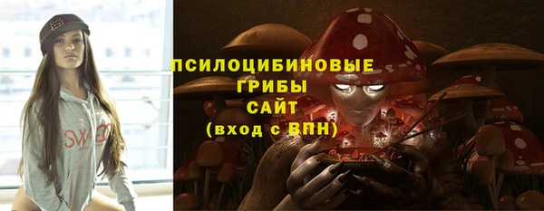 альфа пвп Нязепетровск