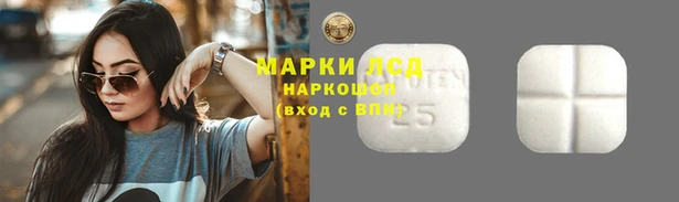 винт Няндома