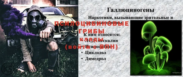 винт Няндома
